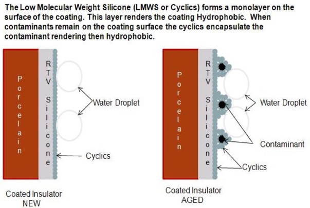 HVIC Intro - LMWS Graphic
